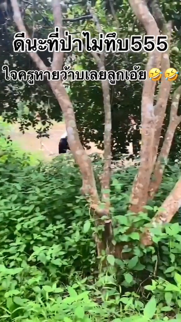 โดดเรียน